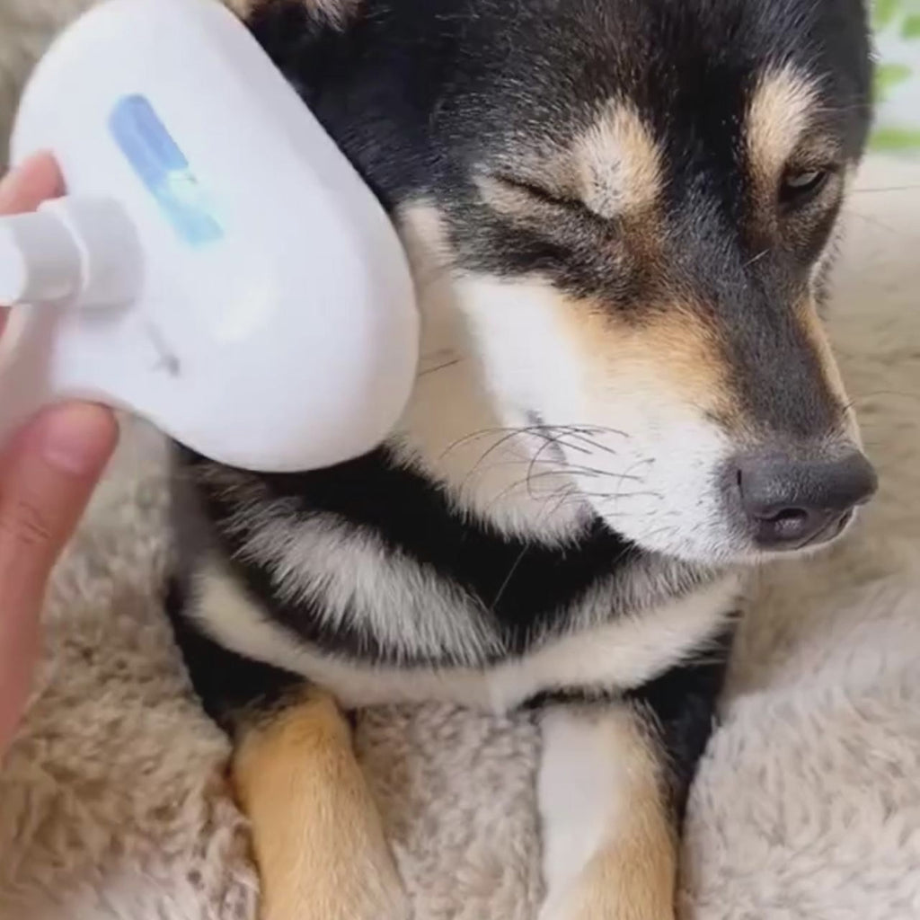 3-in-1 Pet Grooming Steam Brush Electric Dog & Cat Hair Remover with Massage and Spray Function