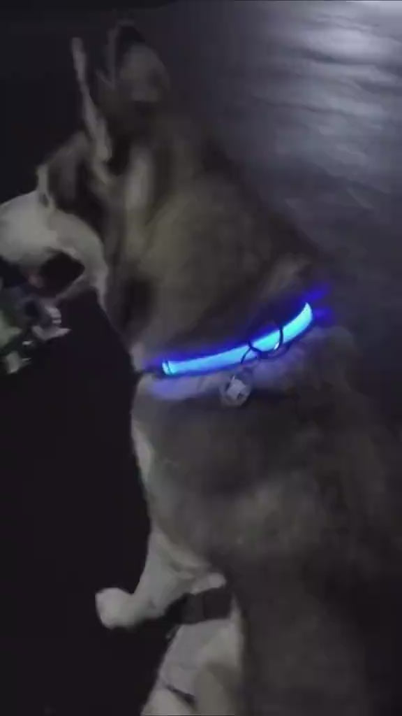Custom Best-Selling Dog Collar with Walking Safety Light - Rechargeable LED Light-Up 7-Color Pet Glowing Collar with Flowing Light