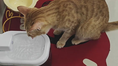 Smart Sensor Wireless Cat Dog Water Fountain Quiet Filter Auto Dispensing