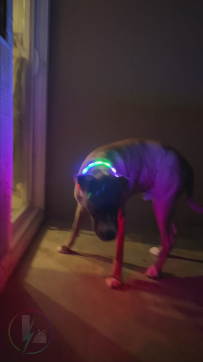 LED Dog Bluetooth Collar mobile phone lighting up Control