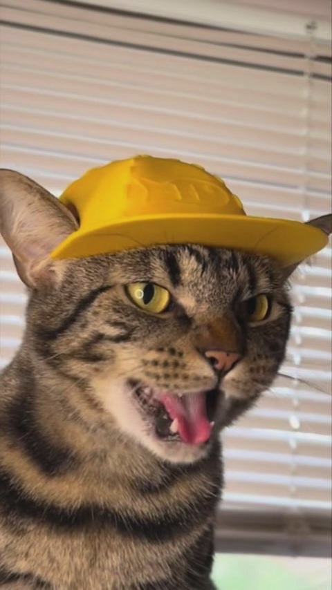 New Design Bat Cat Avenger Mask  Pet Cat Cosplay Mask