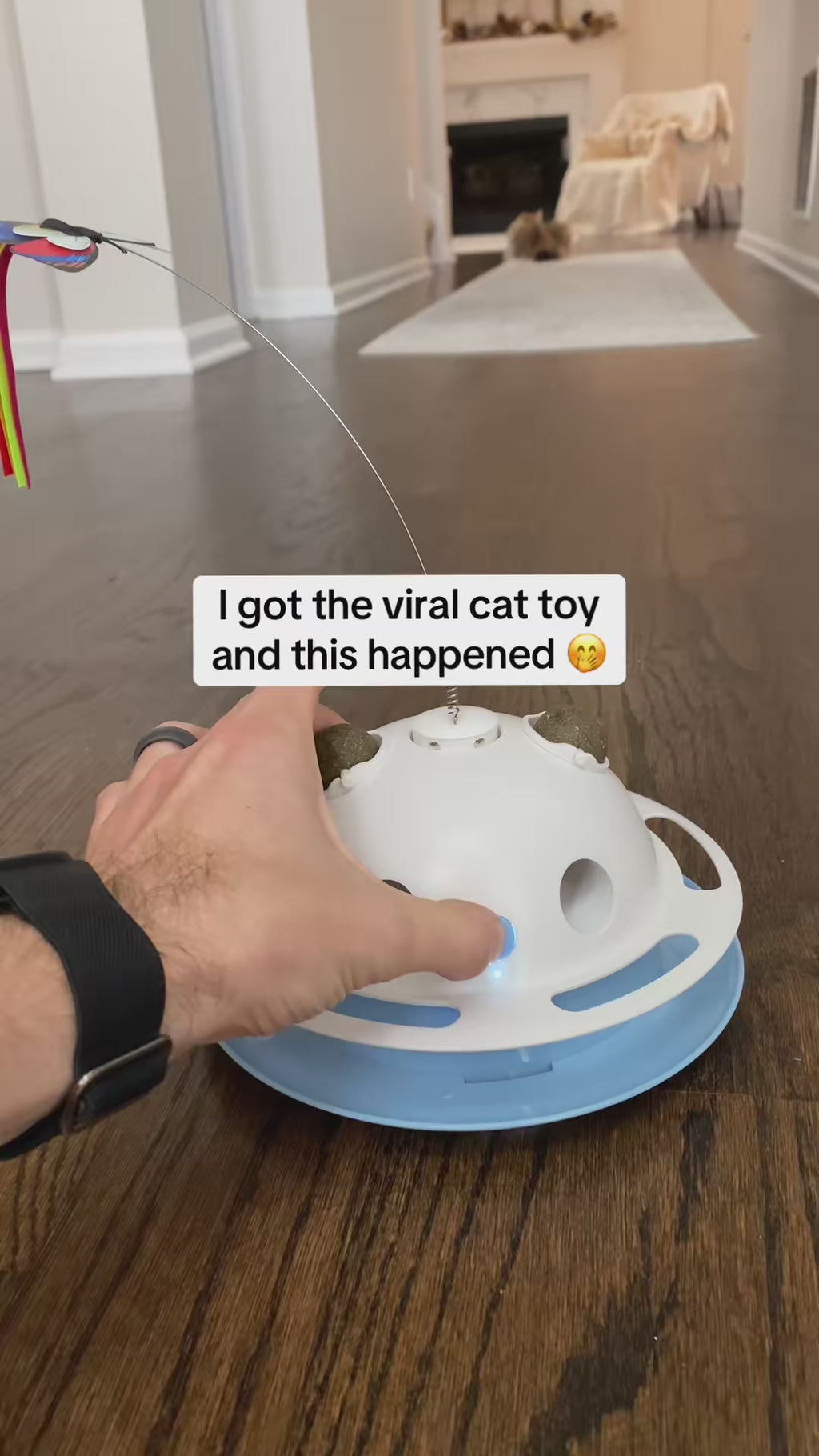 Barkpawlab Feather Frenzy 4-Function White Interactive Cat Toy with Catnip Balls